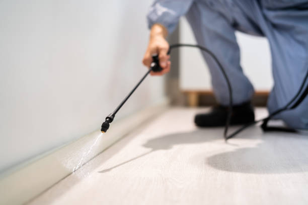 Licensed Pest Control service in Independence, OH - Show Me Pest Control