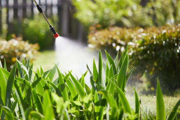 24/7 Emergency Mosquito Control experts in Independence, OH