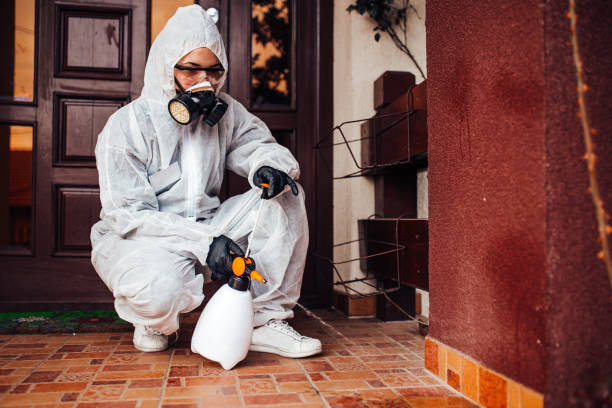Reliable Mosquito Control contractor in Independence, OH by Show Me Pest Control